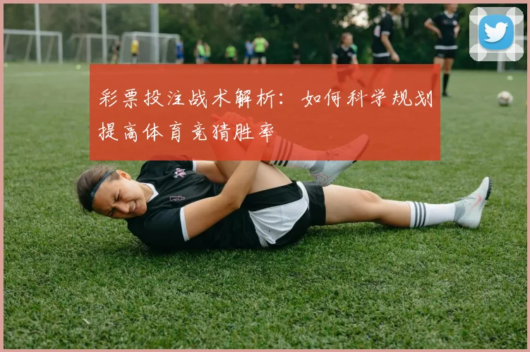 彩票投注战术解析:如何科学规划提高体育竞猜胜率